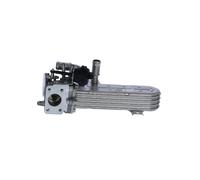 Radiatore, Ricircolo gas scarico per AUDI SEAT SKODA VW A3 ALTEA ALTEA XL GOLF G