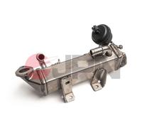 Radiatore, Ricircolo gas scarico per NISSAN OPEL RENAULT ESPACE LAGUNA MASTER MO