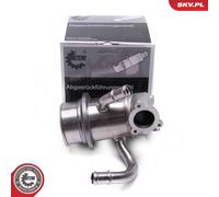Radiatore, Ricircolo gas scarico per SKODA VW BEETLE CADDY CADDY ALLTRACK CC GOL