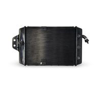 Radiatore TA601206 Adatto Per Triumph Scrambler 400 X Speed 400