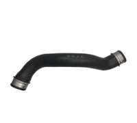 radiatore Tubo Compatibile Con Benz Per W212 W204 S212 S204 Tubo Liquido Raffreddamento Serbatoio Dell'acqua Radiatore Tubo Troppo Pieno 2045011582 A2045011582