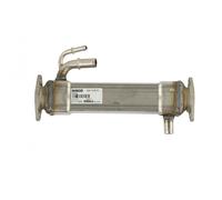 Radiatore Vanne EGR Per Fiat Ducato 504158591, Refroidisseur