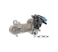 Radiatore Vanne EGR Refrigeratore Per Ford C-Max II Citroën C4 1682007 1751357