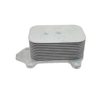 Radiatori Dell'Olio per Auto Radiatore Dell'Olio Motore Compatibile Compatibile Adatto per Partner 1.6 HDI 1103.K2 11427805977 1145941 Radiatore del Motore