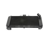 radiatori raffreddamento moto Compatibile Con FZS600 Per FZ600 Per 1998 1999 2000 2001 2002 2003 Radiatore Ricambio Motocicletta Vaschette Lavaggio Radiatore Liquido Raffreddamento