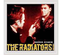 Radiators From Space - Trouble Pilgrim