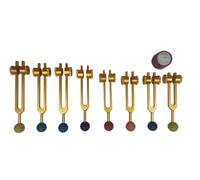Radical Golden Chakra Soul Purpose con sfere colorate l Set pesato di 8 force...