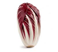 Radicchio di Treviso Precoce 1000 Semi - Semi cicoria da Orto Professionali, Varietà Rossa Croccante dal Gusto Tipico, Ideale per Coltivazione Autunnale, Orto, Giardino e Vaso