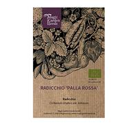 Radicchio 'Palla Rossa' (Cichorium intybus var. foliosum) biologico - circa 200 semi
