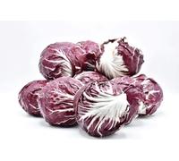 Radicchio Rosso Tondo 3 kg
