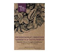Radicchio 'Variegato di Castelfranco' (Cichorium intybus var. foliosum) - circa 300 semi