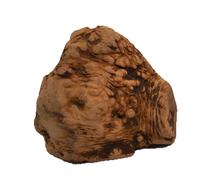 Radice da masticare Chewies - L - 2 pz - prezzo top!