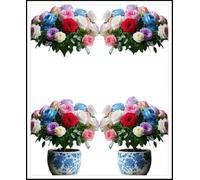 Radice di rosa/Mista/Radice di rosa selezionata/Resistente al freddo e alla siccità/Adatta per la decorazione di giardini e balconi【NVNJHJN】-2 rizoma-A