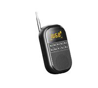 Radio FM AM Tascabile con Ampio Display LCD, Ricevitore Radio DSP, Altoparlante Wireless, Lettore Musicale con Scheda TF per Anziani A