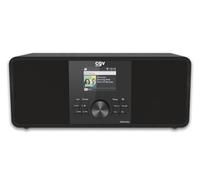 Radio Internet DR30 REC con funzione di registrazione, Dab+, FM, Bluetooth, AUX, USB, WiFi, schermo a colori TFT da 2,4" e telecomando.