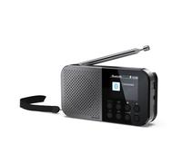 Radio Personale Sharp DR-P520 DAB+ FM Bluetooth 5.3 USB-C Grigio