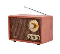 Radio Portatile Adler AM/FM 10W Bluetooth Marrone