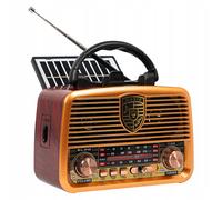 Radio portatile BLOW AM/FM Bluetooth solare AUX USB RA10