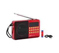 Radio portatile BT TF Supporto per la scheda regali per anziani anziani con