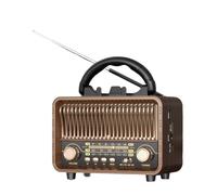 Radio Portatile HiFi Stile Retrò per DSP FM AM SW USB e TF Card Supporto