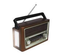 Radio portatile LTC Bluetooth con Torcia FM/AM/SW USB LXLTC118UBT