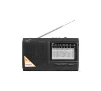 Radio portatile LTC Wilga LTC-2016 con batteria ricaricabile, USB, SD