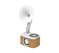 RADIO SANGEAN WR-45