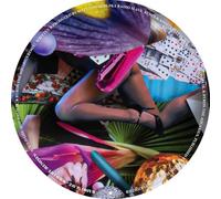 radio slave-wild life remixes 12' vinyl