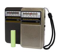 Radio Tascabile Portatile con Audio Digitale Cristallino Ideale da Viaggio