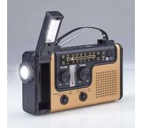 Radio Vintage Multifunzione 2000mAh Modalità Emergenza 4 Modalità di Ricarica AM/FM/TF, Lampada da Lettura, Termometro, Allarme SOS