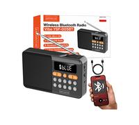 radio ZENWIRE YSF-005BT