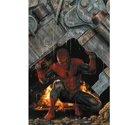 RADIOATTIVO SPIDER-MAN n. 2 di 3 VARIANT AMAZING VISIONS DI LEE BERMEJO Panini