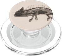 Radiografia di camaleonte PopSockets PopGrip per MagSafe