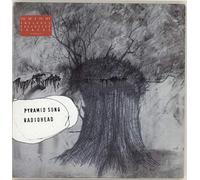 Radiohead - Pyramid Song