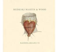Medeski - Radiolarians Ii