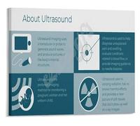 Radiology Ultrasound Imaging Educational Science Poster for Medical Students Healthcare Professionals Wall Art Canvas(Framed,12x18inch(30x45cm))