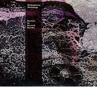 Radiophonic Workshop - Burial In Several Earths (2 CD)