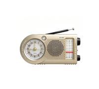 Radiosveglia Portatile con Ricevitore Radio FM AM, Altoparlante Wireless, Lettore Musicale MP3, Supporto per Chiavetta USB e Ingresso