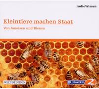 Radiowissen-Wissenschaft - Kleintiere Machen Staat