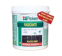 Radistar - Effetto Ormone Radicante per Talee in Polvere (400 Gr) Radicante per