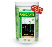 Radistar - Effetto Ormone Radicante per Talee in Polvere (800 Gr) Radicante per