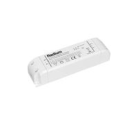 RADIUM Constant Voltage ECG per Moduli LED, 30 W, Grigio