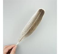 RAEF 10 Pz/Lotto Piume D'aquila Naturali per L'artigianato Plume Copricapo Accessori Decorazione di Festa Carnevale Piuma Artigianato Fai da Te Decor