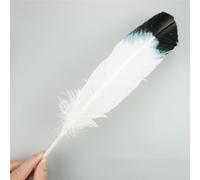RAEF 10 Pz/Lotto Piume D'aquila Naturali per L'artigianato Plume Copricapo Accessori Decorazione di Festa Carnevale Piuma Artigianato Fai da Te Decor