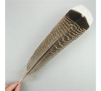 RAEF 10 Pz/Lotto Piume D'aquila Naturali per L'artigianato Plume Copricapo Accessori Decorazione di Festa Carnevale Piuma Artigianato Fai da Te Decor