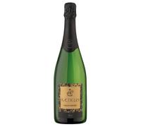 Raeticus Trento DOC Brut 2019 0,75 ℓ