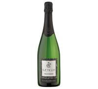 Raeticus Trento DOC Extra Brut Millesimato 2018 0,75 ℓ