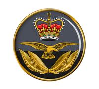 Raf Dell'Ufficiale Tappo Distintivo Spilla