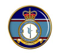 Raf Regiment 37 Squadron Spilla