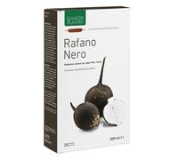 RAFANO NERO BIO 20AB 15M NAT SER